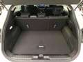 Ford Puma Titanium Design 1.0l EcoBoost Mild Hybrid     -EU6 Weiß - thumbnail 12