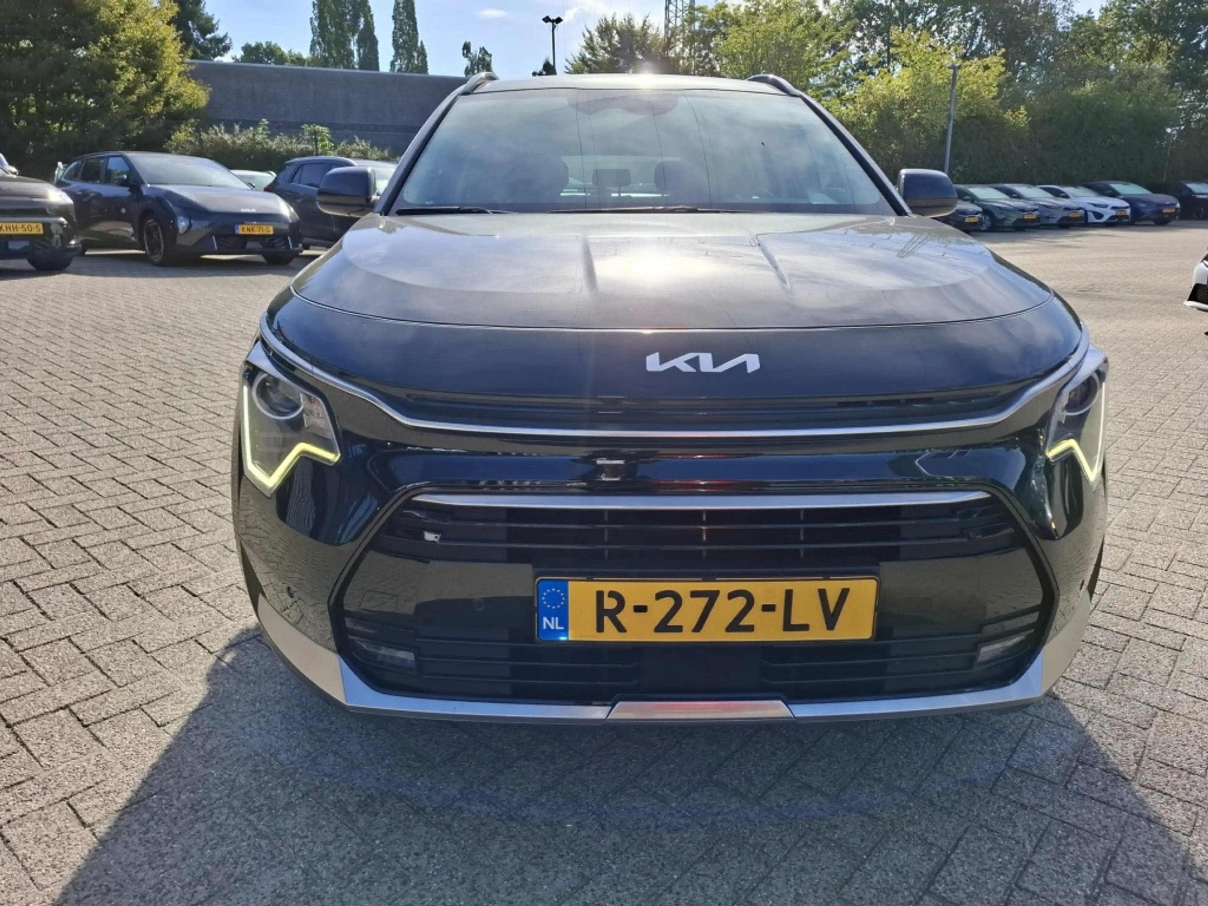 Kia Niro 1.6 HEV Dynamicline — photo 6