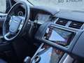 Land Rover Range Rover Sport Range Rover Sport 3.0TDV6 HSE Aut. HSE Rojo - thumbnail 8