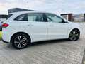 Mercedes-Benz B 250 e PROGRESSIVE, RFK, LED, Fernlicht-Ass., DAB, PTS Blanc - thumbnail 6