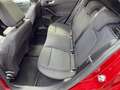 Ford Focus Wagon 1.0 Hybrid ST Line Panormadak, Adaptive Crui Rood - thumbnail 25