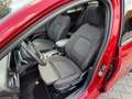 Ford Focus Wagon 1.0 Hybrid ST Line Panormadak, Adaptive Crui Rood - thumbnail 4