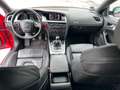 Audi A5 Sportback 2.0 tdi Advanced 143cv Rosso - thumbnail 10