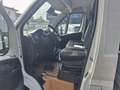 Citroen Jumper CASSONE 35q 2.2 BlueHDi 140cv L3 - PRONTA CONSEGNA Bianco - thumbnail 12