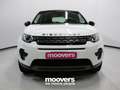 Land Rover Discovery LAND ROVER Discovery Sport 2.0 TD4 150 CV Pure *P Weiß - thumbnail 5