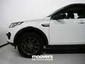 Land Rover Discovery LAND ROVER Discovery Sport 2.0 TD4 150 CV Pure *P Biały - thumbnail 24