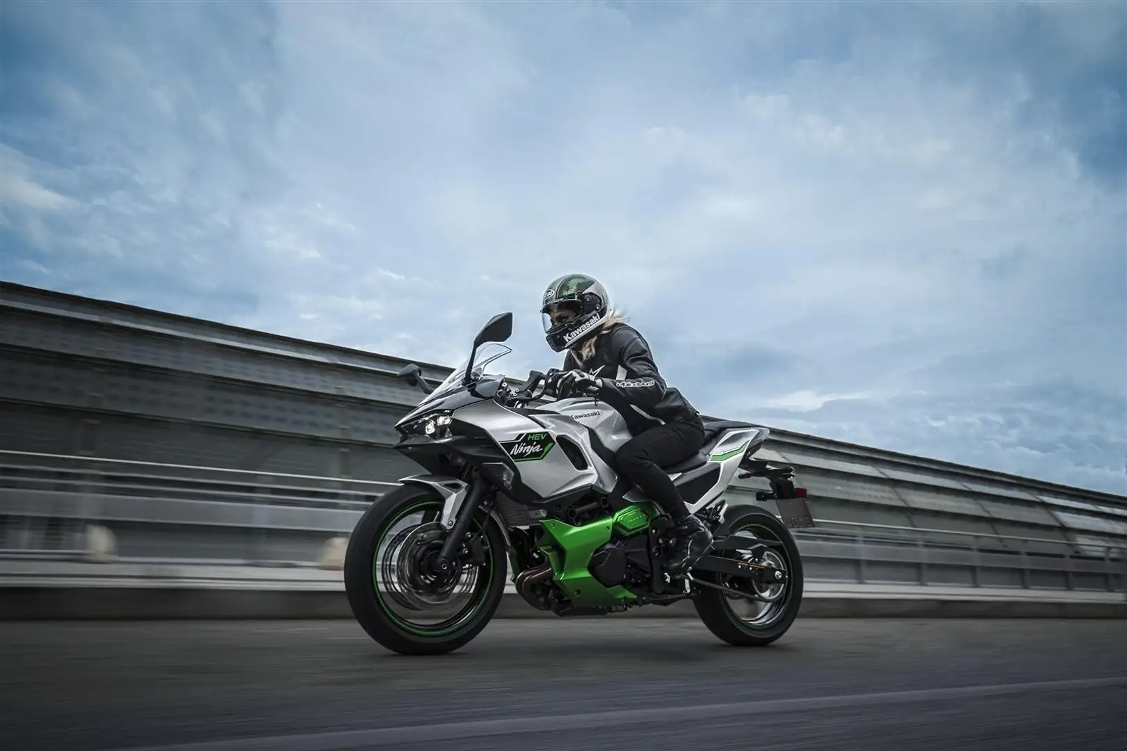 Kawasaki Aktionsmodell Argento - 2