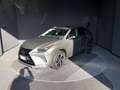 Lexus NX 300 Hybrid 4WD Premium Сірий - thumbnail 1