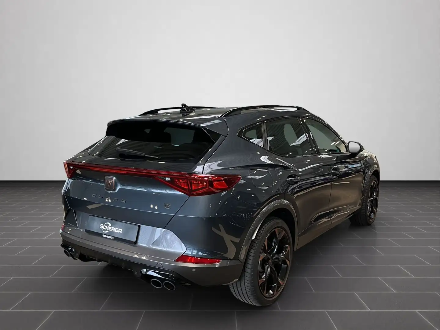 CUPRA Formentor VZ 2.0 TSI 4Drive DSG Rückfahrkamera Grau - 2