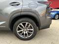 Lexus NX 300 300h 2.5 Executive 4wd cvt UNIPRO BOOKSERVICE Grau - thumbnail 10