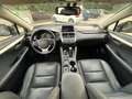 Lexus NX 300 300h 2.5 Executive 4wd cvt UNIPRO BOOKSERVICE Grau - thumbnail 18