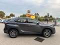 Lexus NX 300 300h 2.5 Executive 4wd cvt UNIPRO BOOKSERVICE Grau - thumbnail 6