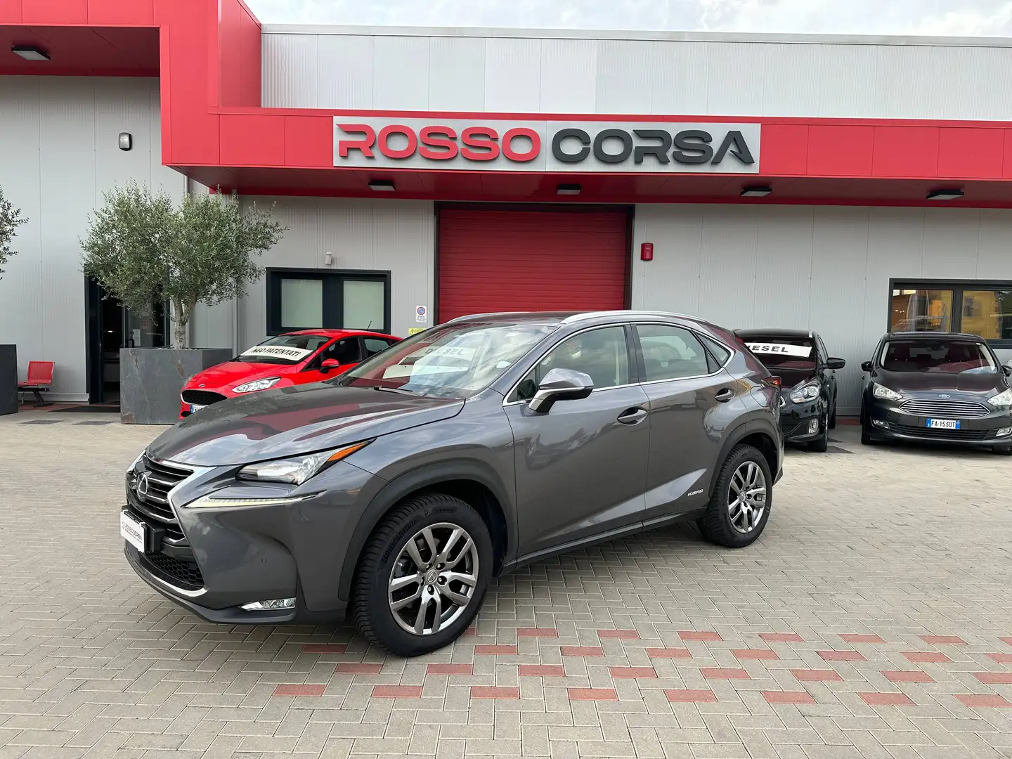 Lexus NX 300 300h 2.5 Executive 4wd cvt UNIPRO BOOKSERVICE Grau - 1