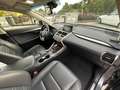 Lexus NX 300 300h 2.5 Executive 4wd cvt UNIPRO BOOKSERVICE Grau - thumbnail 17