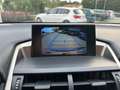 Lexus NX 300 300h 2.5 Executive 4wd cvt UNIPRO BOOKSERVICE Grau - thumbnail 26