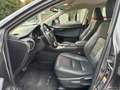 Lexus NX 300 300h 2.5 Executive 4wd cvt UNIPRO BOOKSERVICE Grau - thumbnail 13