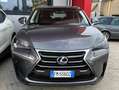 Lexus NX 300 300h 2.5 Executive 4wd cvt UNIPRO BOOKSERVICE Grau - thumbnail 31