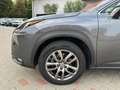 Lexus NX 300 300h 2.5 Executive 4wd cvt UNIPRO BOOKSERVICE Grau - thumbnail 9