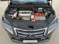 Lexus NX 300 300h 2.5 Executive 4wd cvt UNIPRO BOOKSERVICE Grau - thumbnail 20