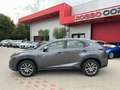 Lexus NX 300 300h 2.5 Executive 4wd cvt UNIPRO BOOKSERVICE Grau - thumbnail 2