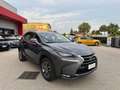 Lexus NX 300 300h 2.5 Executive 4wd cvt UNIPRO BOOKSERVICE Grau - thumbnail 7