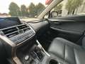 Lexus NX 300 300h 2.5 Executive 4wd cvt UNIPRO BOOKSERVICE Grau - thumbnail 29
