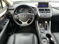 Lexus NX 300 300h 2.5 Executive 4wd cvt UNIPRO BOOKSERVICE Grau - thumbnail 19