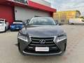Lexus NX 300 300h 2.5 Executive 4wd cvt UNIPRO BOOKSERVICE Grau - thumbnail 8