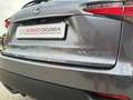 Lexus NX 300 300h 2.5 Executive 4wd cvt UNIPRO BOOKSERVICE Grau - thumbnail 11