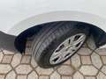 Fiat Doblo 1.3 MTJ 95 CV SX Bianco - thumbnail 12
