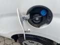 Fiat Doblo 1.3 MTJ 95 CV SX Bianco - thumbnail 11