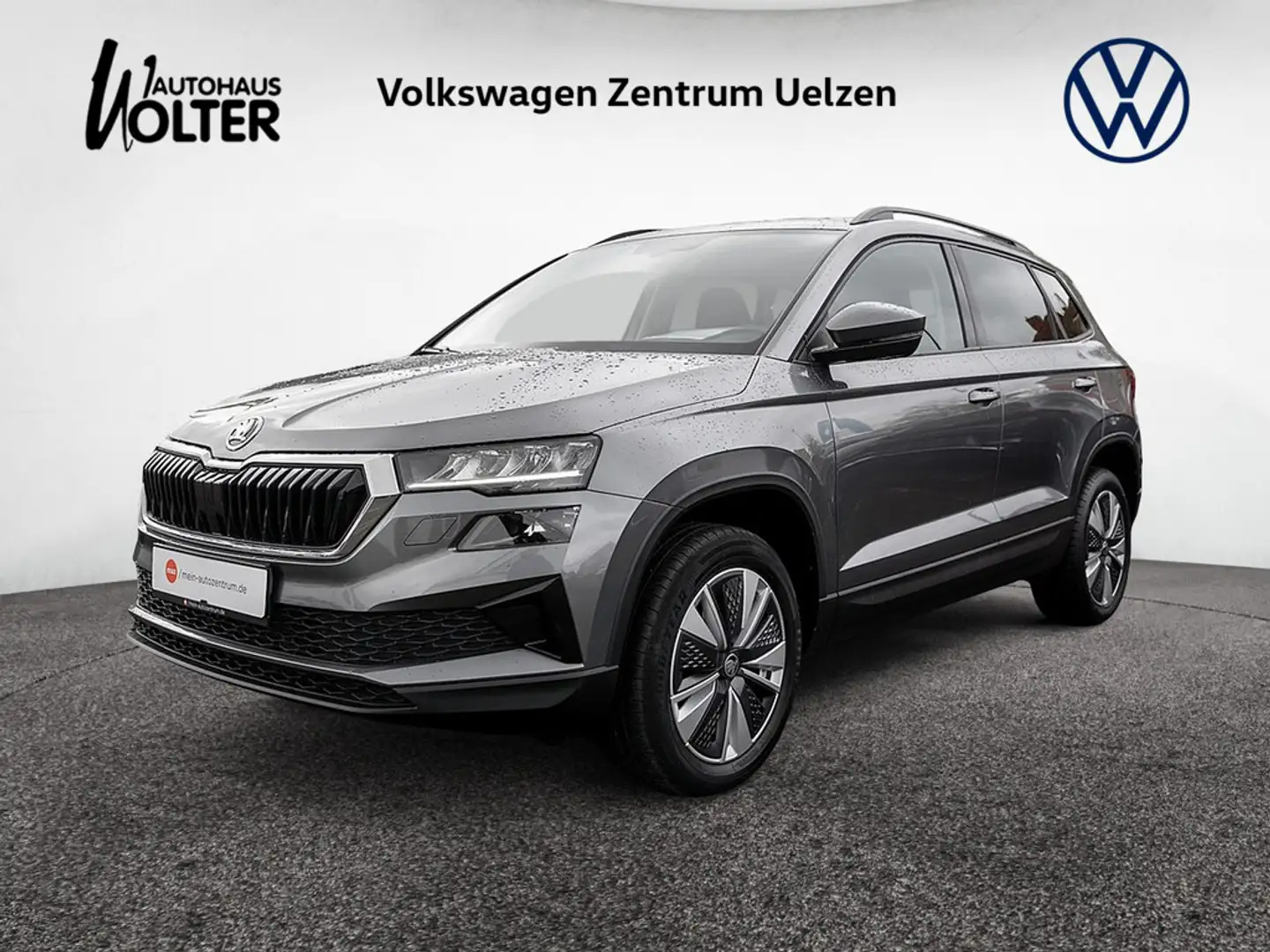 Skoda Karoq 1.5 TSI Ambition DSG KLIMA PDC SHZ MFL Grau - 1