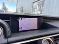 Lexus RC 300h Business Line Pro Rot - thumbnail 26