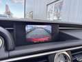 Lexus RC 300h Business Line Pro Rot - thumbnail 25