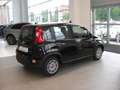 Fiat Panda 1.0 FireFly S&S Hybrid Zwart - thumbnail 8