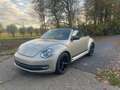 Volkswagen Beetle The Cabriolet 1.2 TSI BlueMotion Technology Club - thumbnail 1