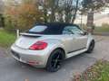 Volkswagen Beetle The Cabriolet 1.2 TSI BlueMotion Technology Club - thumbnail 4