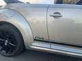 Volkswagen Beetle The Cabriolet 1.2 TSI BlueMotion Technology Club - thumbnail 8