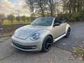 Volkswagen Beetle The Cabriolet 1.2 TSI BlueMotion Technology Club - thumbnail 9