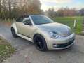 Volkswagen Beetle The Cabriolet 1.2 TSI BlueMotion Technology Club - thumbnail 6