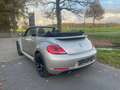 Volkswagen Beetle The Cabriolet 1.2 TSI BlueMotion Technology Club - thumbnail 12