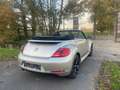 Volkswagen Beetle The Cabriolet 1.2 TSI BlueMotion Technology Club - thumbnail 11