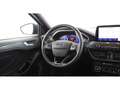 Ford Focus Turnier 2.0 EcoBlue Active X Aut LED AHK Blau - thumbnail 12