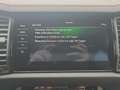 Skoda Kodiaq RS 4x4 STANDHZ PANO LEDER MATRIX ACC DCC Gris - thumbnail 25
