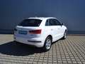 Audi Q3 Sport 1.4 TFSI XENON/17-ZOLL/NAVI/APS/KLIMAAUTOMA Weiß - thumbnail 3