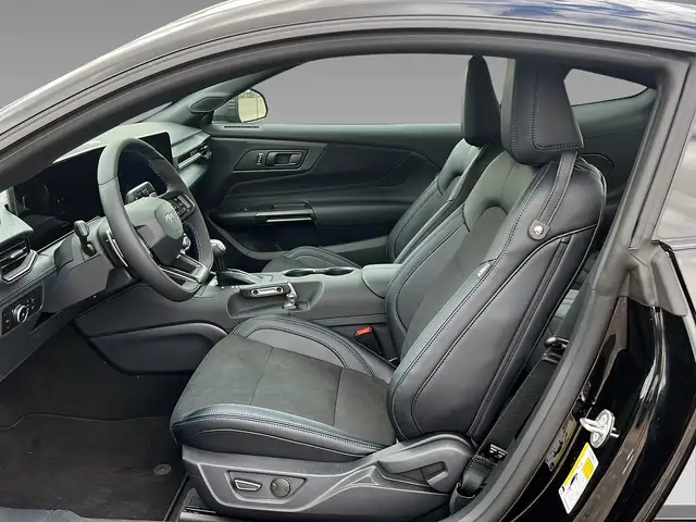 Ford Mustang view 9