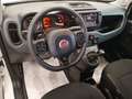 Fiat Panda 1.0 hybrid Cross * VARIE COLORAZIONI * Blau - thumbnail 7