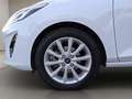 Ford Fiesta 5p 1.1 Titanium 85cv NEOPATENTATI Bianco - thumbnail 20