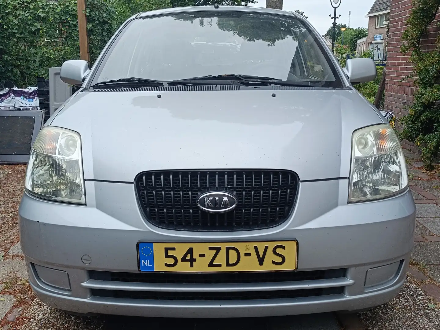 Kia Picanto Picanto 1.0 Light Blauw - 2