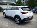 Opel Grandland X 1.5 ecotec diesel 130CV AT8 Innovation Bianco - thumbnail 2